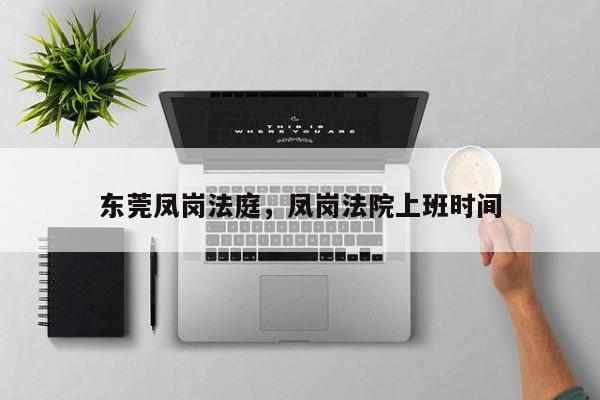 东莞凤岗法庭,凤岗法院上班时间