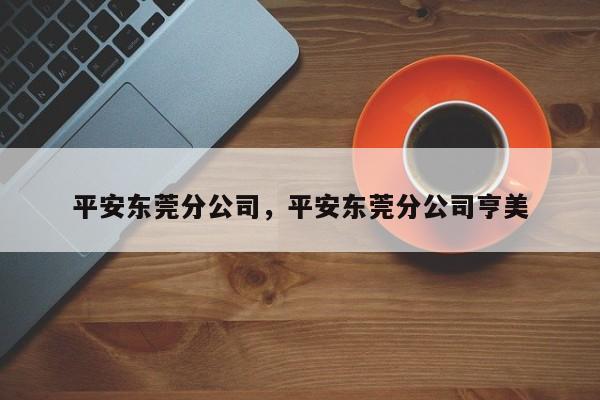 平安东莞分公司,平安东莞分公司亨美