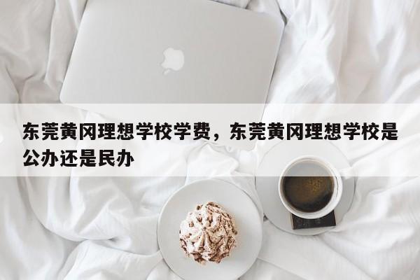 东莞黄冈理想学校学费,东莞黄冈理想学校是公办还是民办