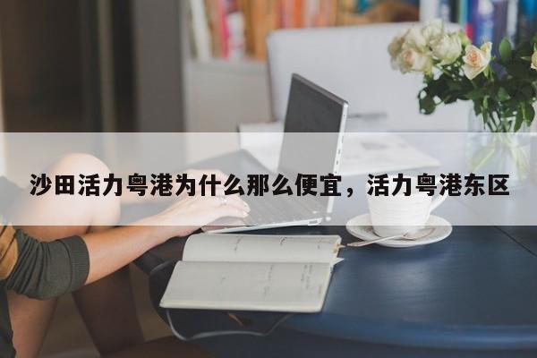沙田活力粤港为什么那么便宜,活力粤港东区