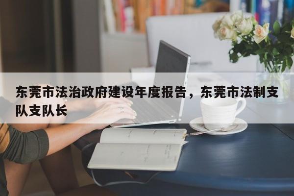 东莞市法治政府建设年度报告,东莞市法制支队支队长