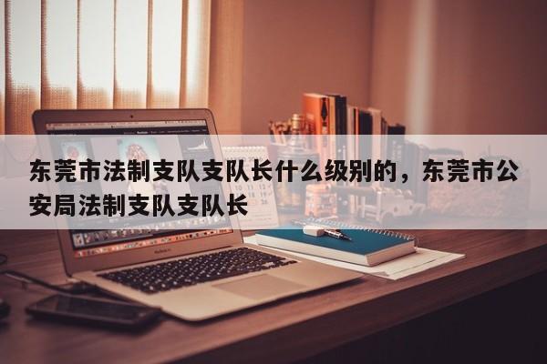 东莞市法制支队支队长什么级别的,东莞市公安局法制支队支队长