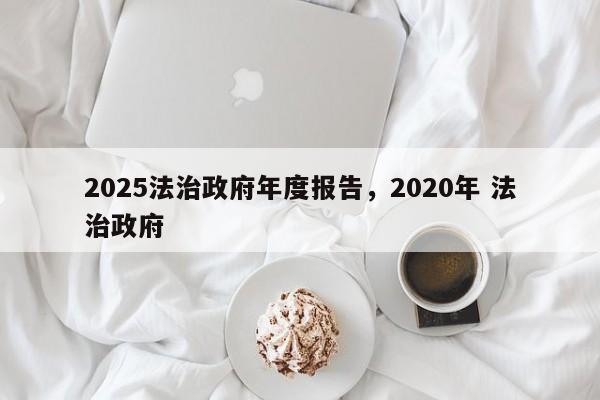 2025法治政府年度报告,2020年 法治政府