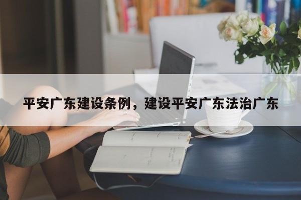 平安广东建设条例,建设平安广东法治广东