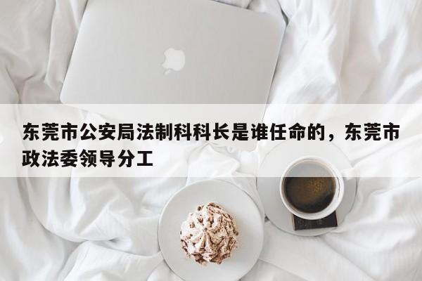 东莞市公安局法制科科长是谁任命的,东莞市政法委领导分工