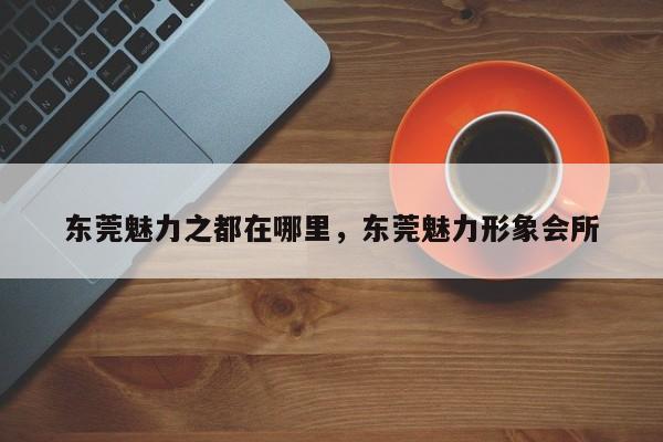 东莞魅力之都在哪里,东莞魅力形象会所