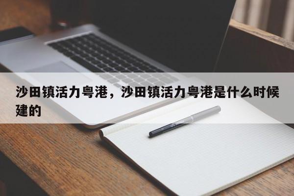 沙田镇活力粤港,沙田镇活力粤港是什么时候建的