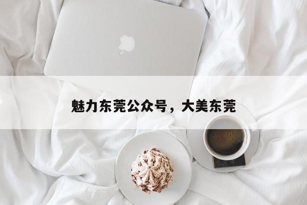 魅力东莞公众号,大美东莞