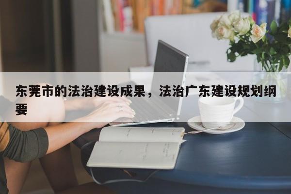 东莞市的法治建设成果,法治广东建设规划纲要