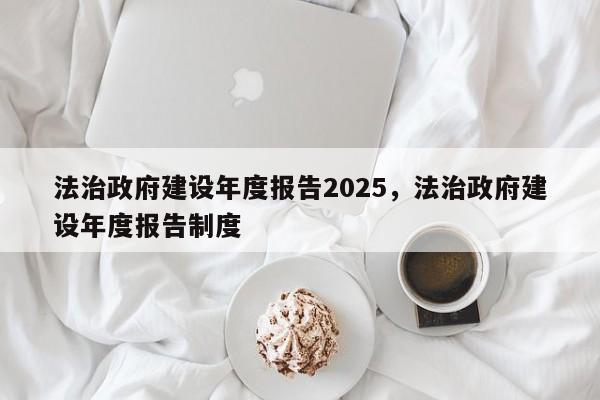 法治政府建设年度报告2025,法治政府建设年度报告制度