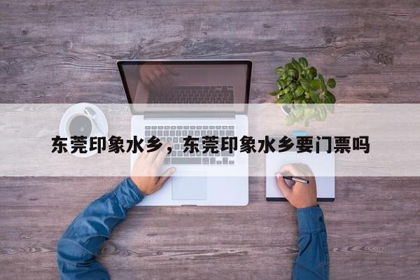 东莞印象水乡,东莞印象水乡要门票吗