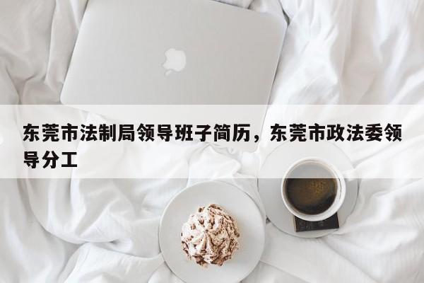 东莞市法制局领导班子简历,东莞市政法委领导分工