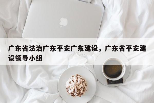 广东省法治广东平安广东建设,广东省平安建设领导小组