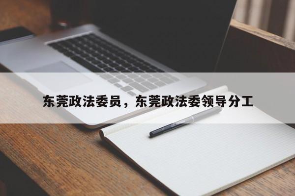 东莞政法委员,东莞政法委领导分工